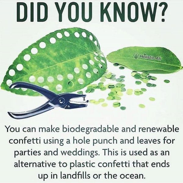 Thumbnail of byzblz1ht-4-5ee9c2537ffd4f13 0