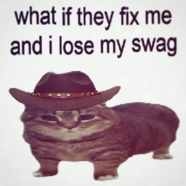 Thumbnail of p-dfzgmrzytx2-5ef5ac9e8160469a 12