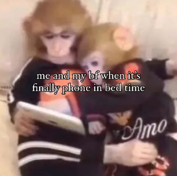 Thumbnail of p-dfzgmrzytx2-5ef5ac9e8160469a 5