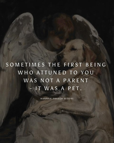 Thumbnail of djdfmw-m795-5f30348172a74a15 0