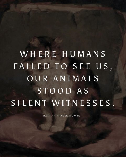 Thumbnail of djdfmw-m795-5f30348172a74a15 4