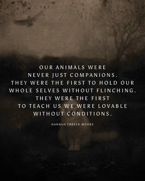 Thumbnail of djdfmw-m795-5f30348172a74a15 6