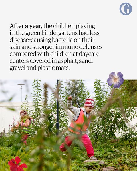 Thumbnail of p-dqy99slkxvl-5f34b9d76add4c89 4