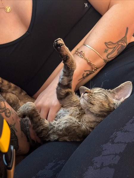 Thumbnail of p-dqu5p1akxns-5f460f3d1de141da 11