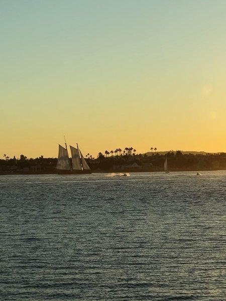 Thumbnail of p-dqu5p1akxns-5f460f3d1de141da 3