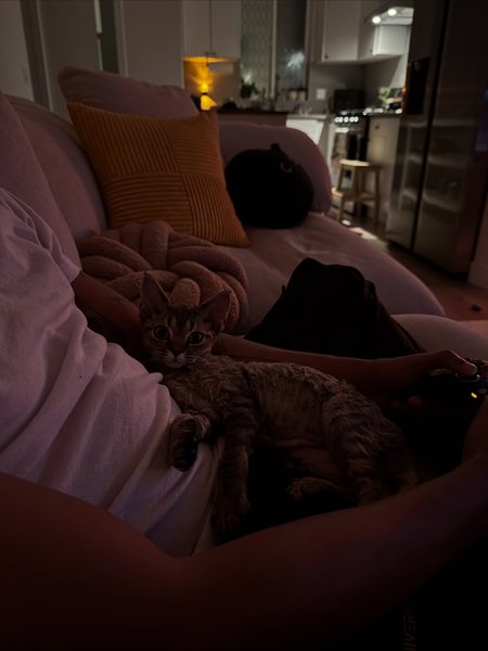 Thumbnail of p-dqu5p1akxns-5f460f3d1de141da 9