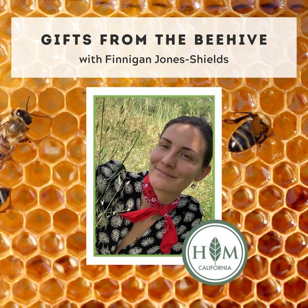 Thumbnail of p-cfikbd9olgs-5f4857f9d0104e1c 0