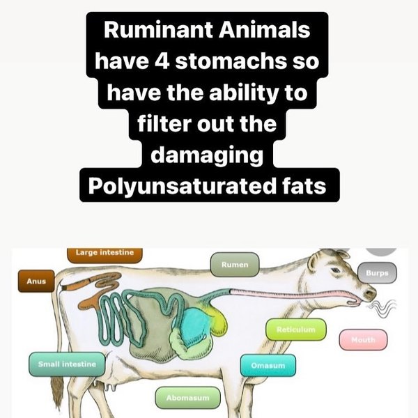 Thumbnail of cy-txgtterd-5f6d9ac4e8bc40af 1
