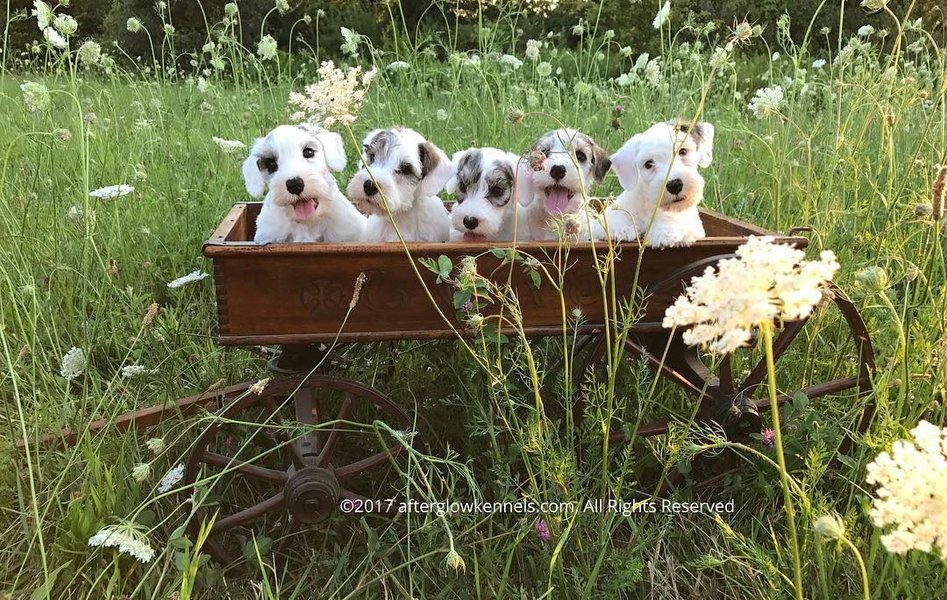 Thumbnail of p-bthy3e5d3yd-5f7d494a727d4261 0