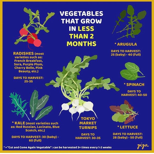 Thumbnail of p-b9vognbg6zn-5faa9cf6c8e94329 0