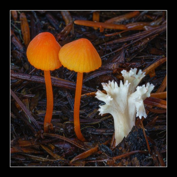 Thumbnail of p-cgzvywfffiq-5fbefb62ab12491d 0