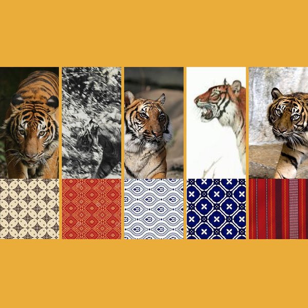 Thumbnail of p-czkbkwivgmr-6025db4c49cf4aab 2