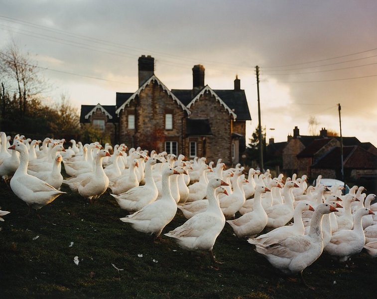 Thumbnail of p-dgnai51gusk-605c1a269cb34fc5 0