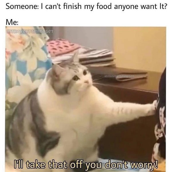 Thumbnail of p-cwetpn7vq64-605dc80e27634258 0