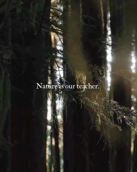 Thumbnail of p-de6aoalmpw-607a3012096b45ab 3