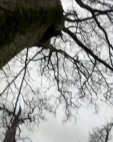 Thumbnail of p-de6aoalmpw-607a3012096b45ab 7