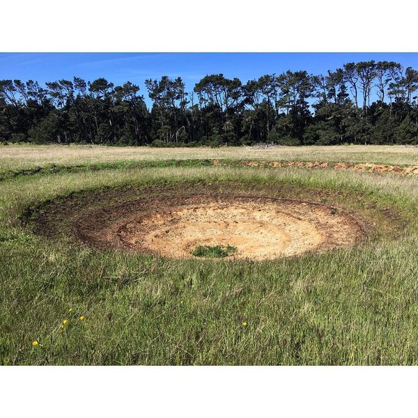 Thumbnail of p-bwksevwls6n-607b85102dfc445d 0