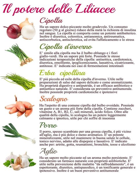 Thumbnail of p-b9miy4zqg7v-6080b9994eee4df1 0