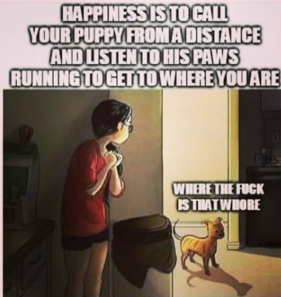 Thumbnail of cgfcz-ylnih-6091dbaf55c1407f 0