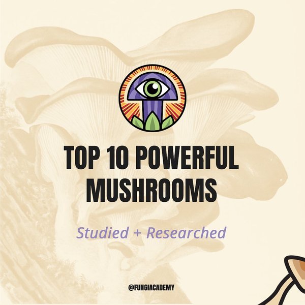 Thumbnail of p-cnnxrj3hhc8-60b1e14eae6f4e6e 0