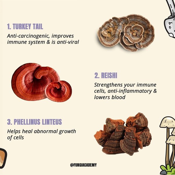 Thumbnail of p-cnnxrj3hhc8-60b1e14eae6f4e6e 1