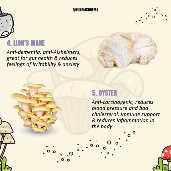 Thumbnail of p-cnnxrj3hhc8-60b1e14eae6f4e6e 2