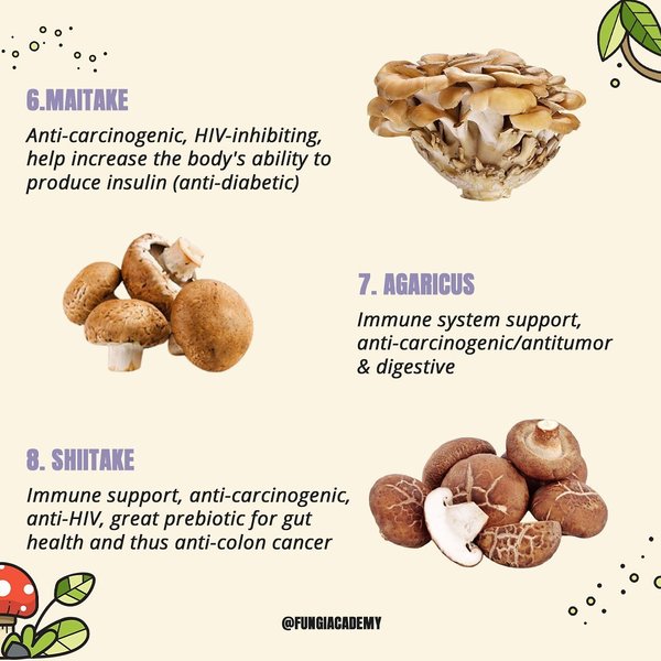 Thumbnail of p-cnnxrj3hhc8-60b1e14eae6f4e6e 3