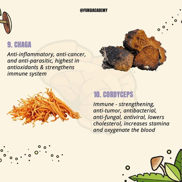 Thumbnail of p-cnnxrj3hhc8-60b1e14eae6f4e6e 4