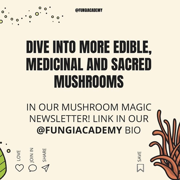 Thumbnail of p-cnnxrj3hhc8-60b1e14eae6f4e6e 5