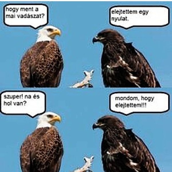 Thumbnail of p-byoiyoeg6jb-60c51ffc5e8f4821 0