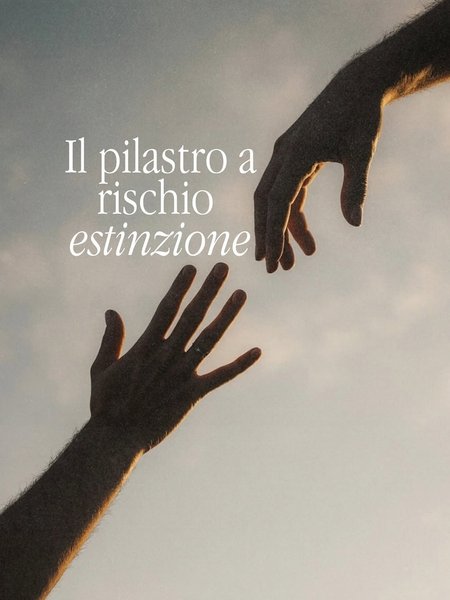 Thumbnail of www-instagram-com-p-dqzavwtieht 0