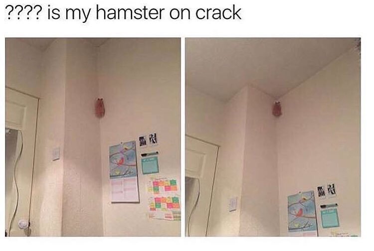 Thumbnail of p-bpmd5r1hiox-61135e90c5a94c03 0