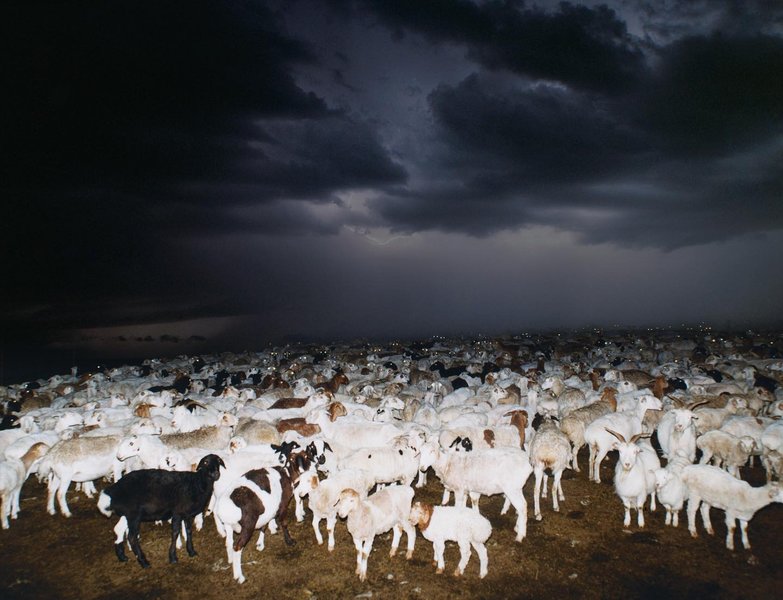 Thumbnail of p-cr3i4golgsf-6147477a5ab949e2 0