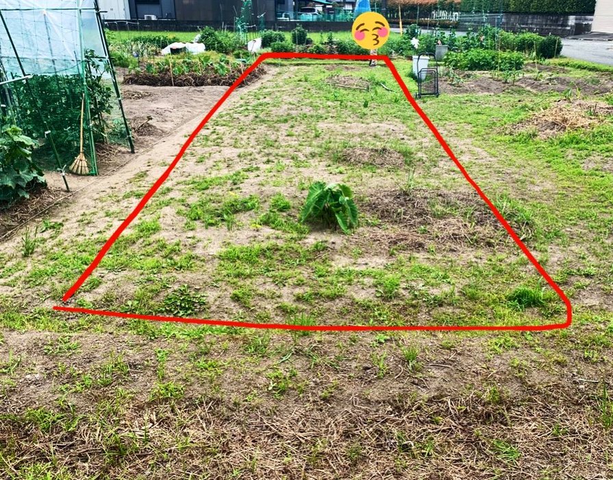 Thumbnail of www-x-com-hitopicchi322-status-1527166534510325760-614b59edebcb4d49