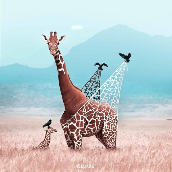 Thumbnail of p-cxtprgtpzrc-615f705234ac4573 0