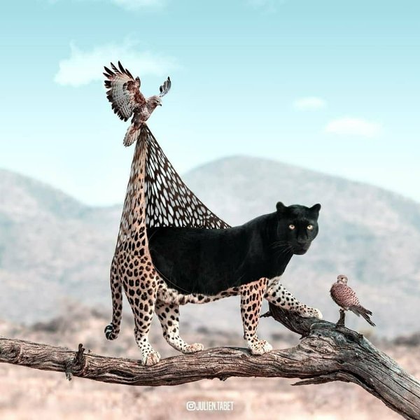 Thumbnail of p-cxtprgtpzrc-615f705234ac4573 1