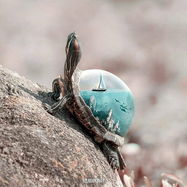 Thumbnail of p-cxtprgtpzrc-615f705234ac4573 3