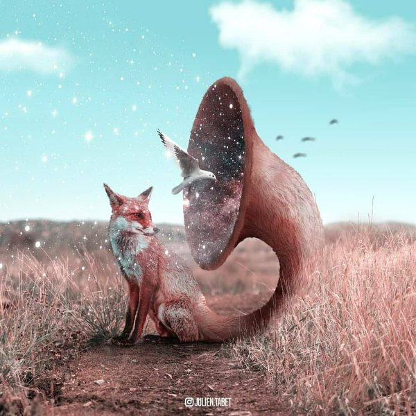 Thumbnail of p-cxtprgtpzrc-615f705234ac4573 5