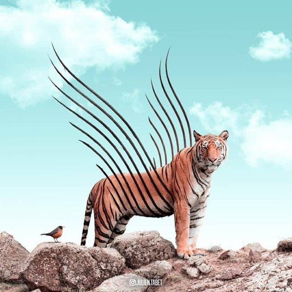 Thumbnail of p-cxtprgtpzrc-615f705234ac4573 7