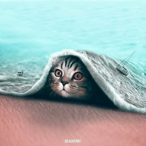 Thumbnail of p-cxtprgtpzrc-615f705234ac4573 8