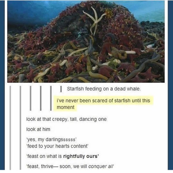 Thumbnail of p-bnrawvjfv6k-616ebba15f6d4508 6