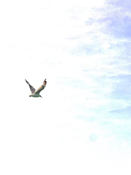 Thumbnail of www-instagram-com-p-dq0boybj-u 3