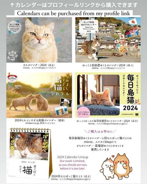 Thumbnail of p-c1dxua6sq3h-61df1b6ca10f45cc 8
