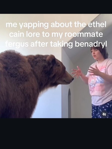 Thumbnail of p-dmdan86jo9n-61e7b414ca8f4c92 8