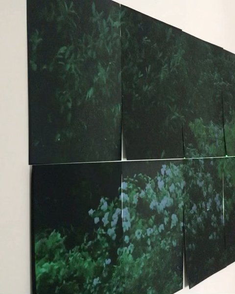 Thumbnail of p-c0osup5o8gl-61fefd01ec1a4fee 0