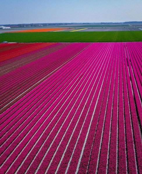 Thumbnail of czh0u-aofdn-6256f7ddf7944bdd 9