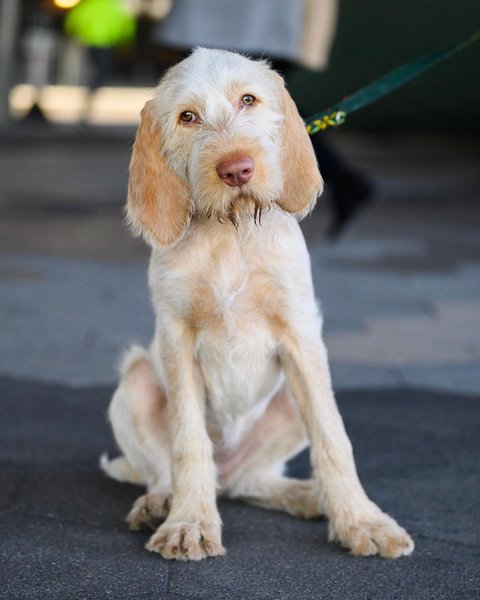 Thumbnail of p-b8zrqpgh2ui-6263a82fe3a646d5 0