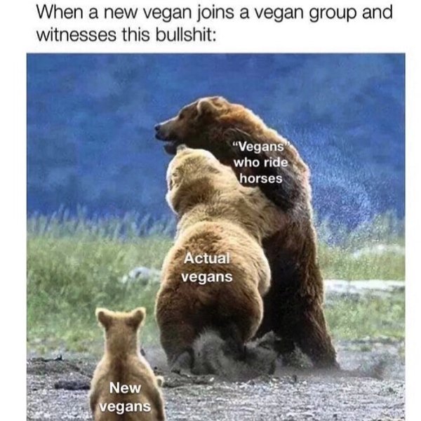 Thumbnail of p-b40kh4mai8e-62665d1d1f344685 0