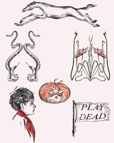 Thumbnail of p-cfcrcyfgfy8-626a093cf93341a1 0