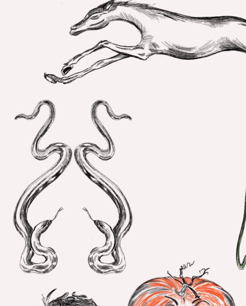 Thumbnail of p-cfcrcyfgfy8-626a093cf93341a1 1